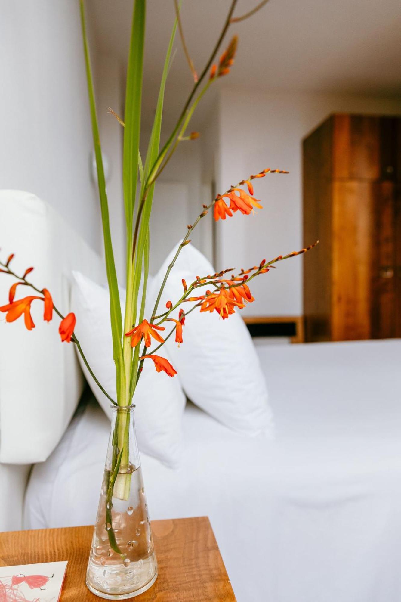 Hotel El Castano Dormilon 圣马尔塔奥尔蒂盖拉 外观 照片